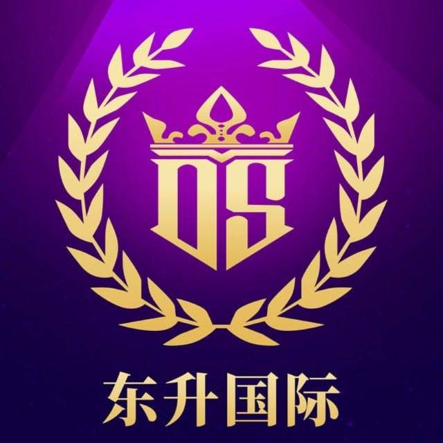 东升国际